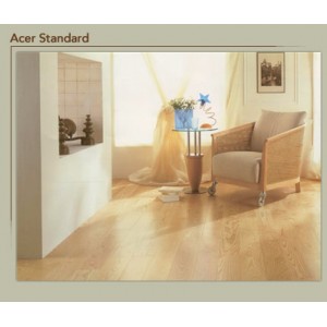 Acer Standard