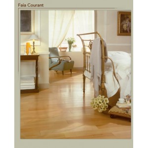 Faia Courant