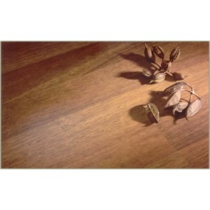 Compact-Clic Sylence